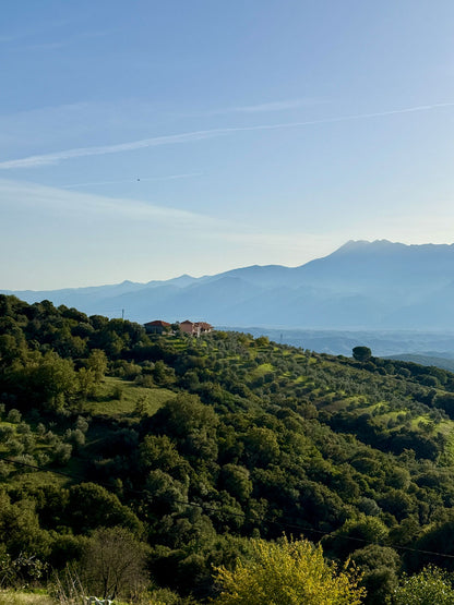 Mamakas Extra Virgin Olive Oil