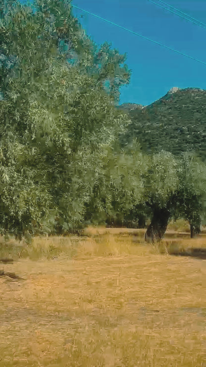 Mamakas Extra Virgin Olive Oil